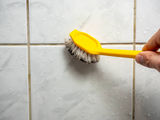 Water Damage Restoration in Ralls, TX
