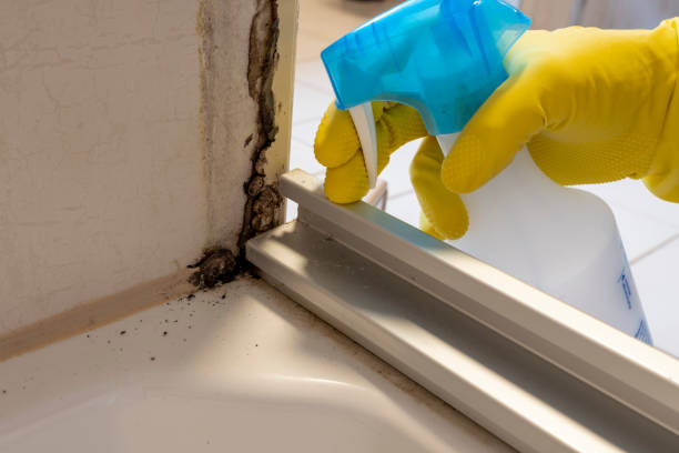 Best Mold Cleaning Services  in Ralls, TX