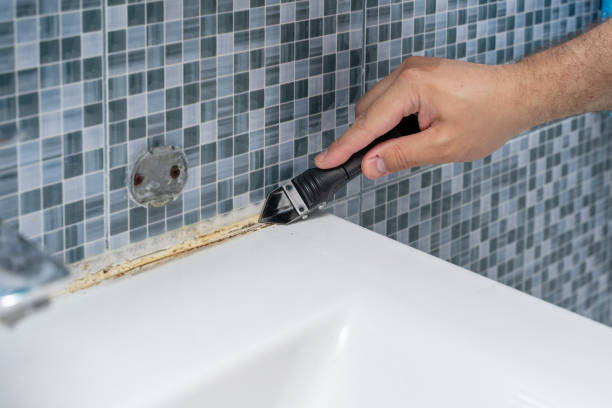 Best Residential Mold Removal  in Ralls, TX