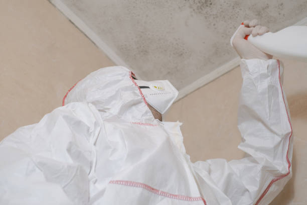 Best Emergency Mold Removal  in Ralls, TX
