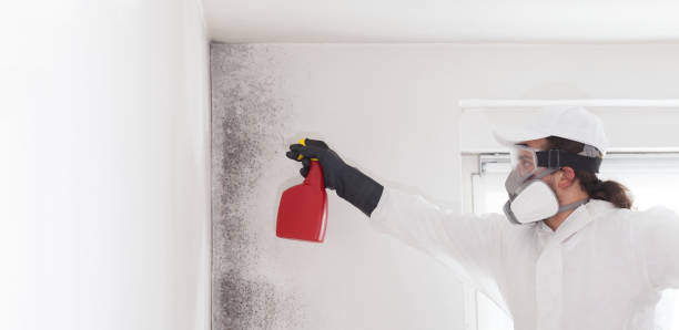 Best Toxic Mold Removal  in Ralls, TX