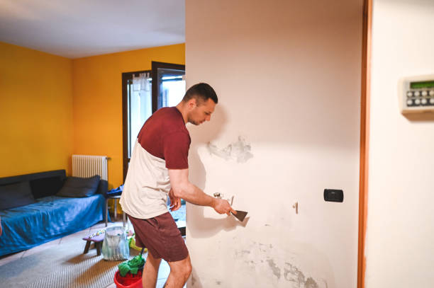 Mold Removal and Inspection in Ralls, TX