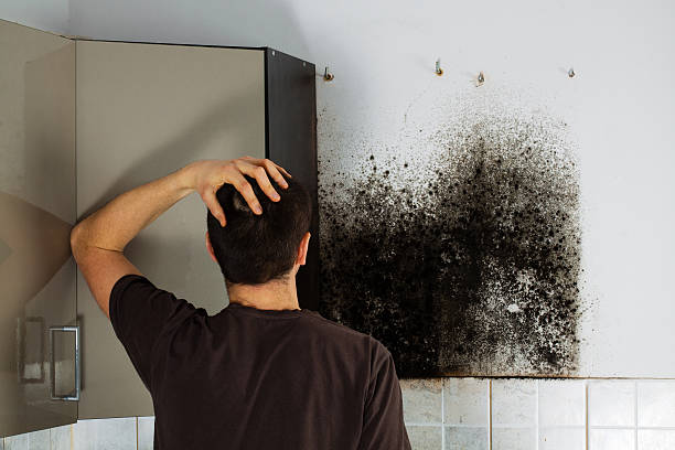 Best Mold Removal Near Me  in Ralls, TX